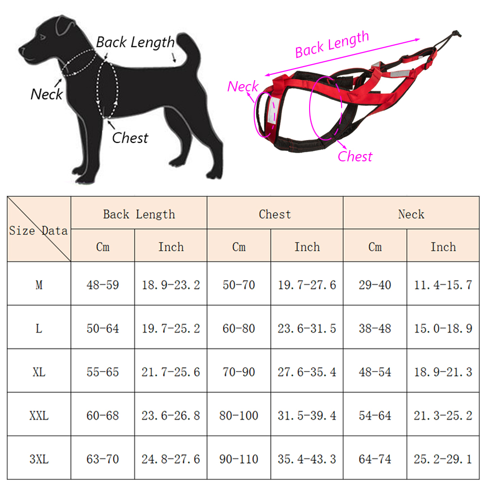 High Quality Big Dog Sledge Ha - Reflective Running Jacket ulasan dan harga