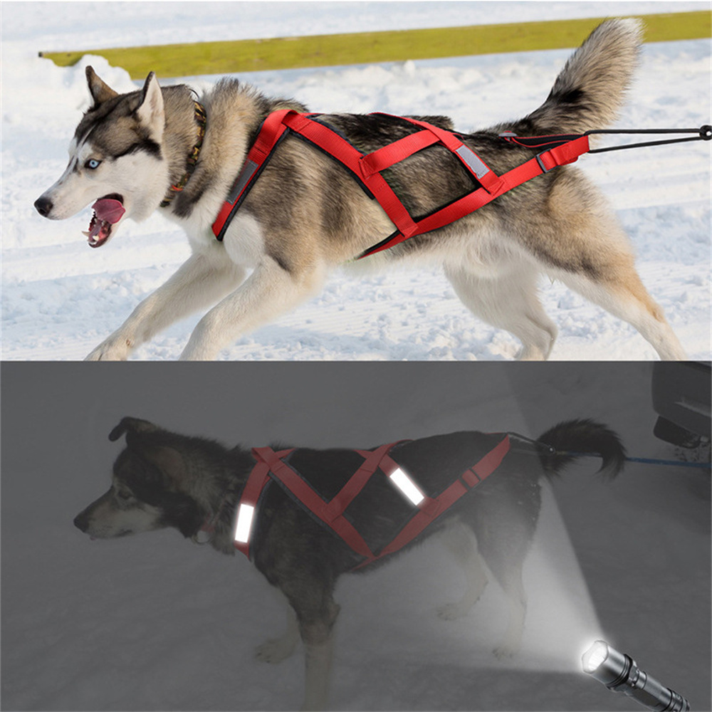 High Quality Big Dog Sledge Ha - Reflective Running Jacket ulasan dan harga