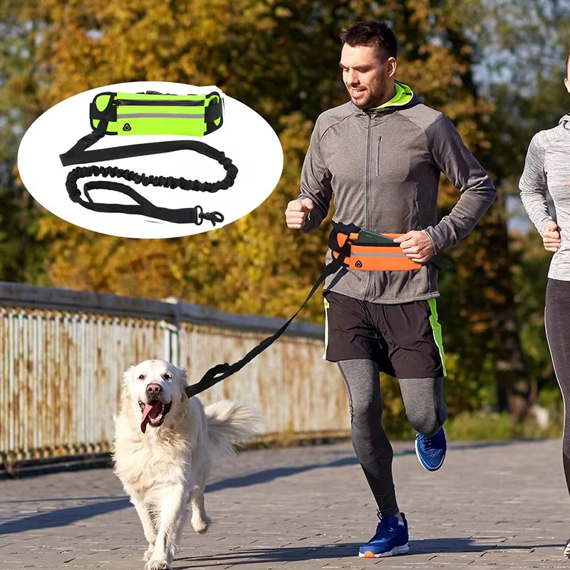 Hands Free Dog Leash for Runni - Running Zwift ulasan dan harga