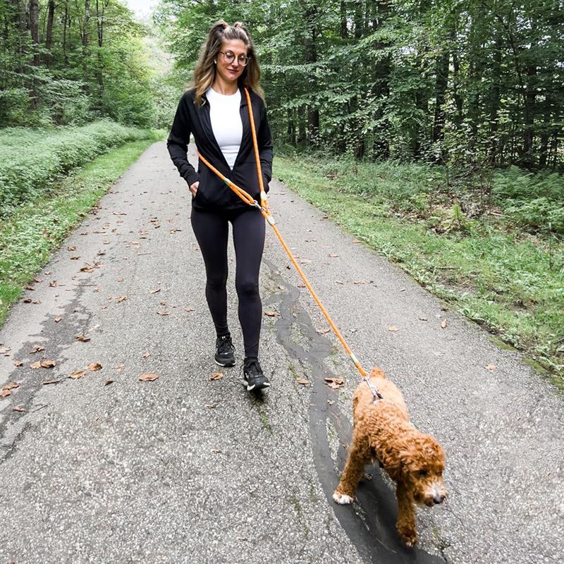 Reflective Hands-Free Dog Leas - Running Zwift ulasan dan harga